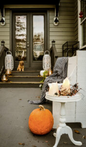 Mazi, the morkie, sits at the patio door to go in.