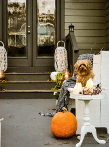 Mazi sitting on the white painted bench with candles and pumpkins around her.